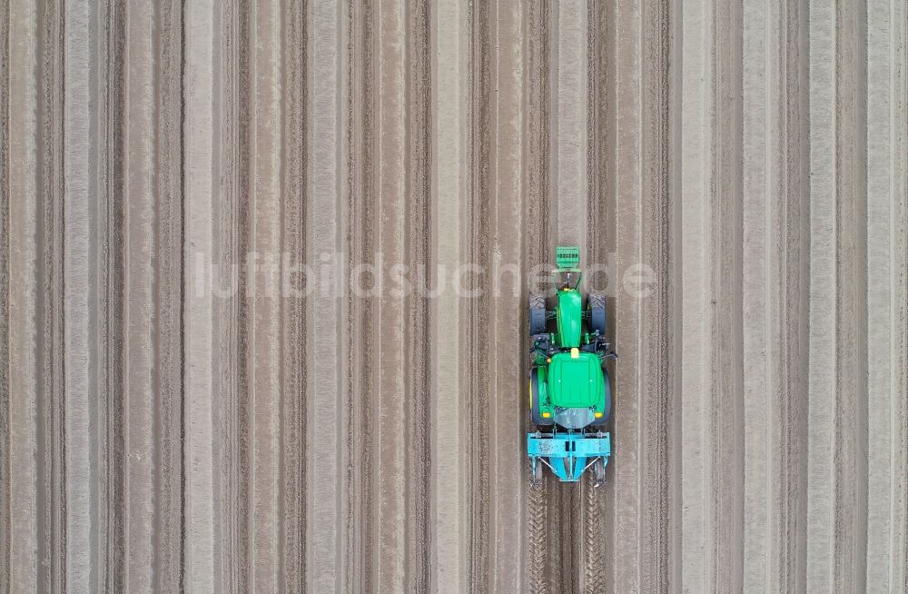 Senkrecht-Luftbild Dürrenhofe - Senkrechtluftbild Reihen mit Spargel- Anbau auf Feld- Flächen in Dürrenhofe im Bundesland Brandenburg, Deutschland