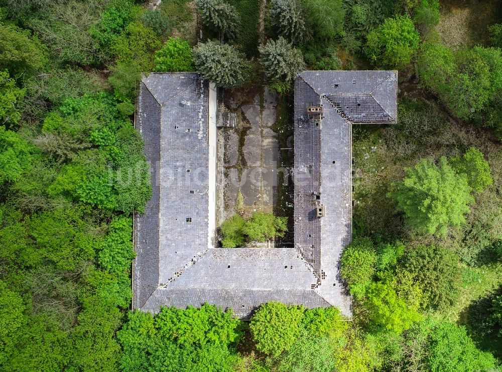 Senkrecht-Luftbild Treppeln - Senkrechtluftbild Ruine des ehemaligen Forsthaus in Treppeln im Bundesland Brandenburg, Deutschland