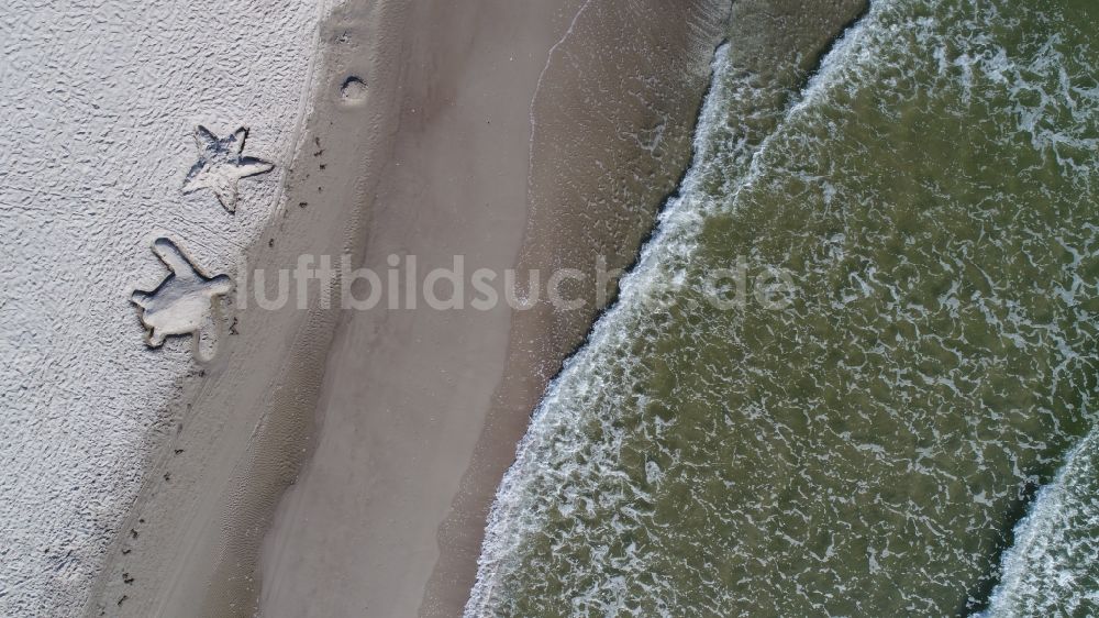 Senkrecht-Luftbild Binz - Senkrechtluftbild Sandstrand- Landschaft der Ostsee in Binz im Bundesland Mecklenburg-Vorpommern, Deutschland