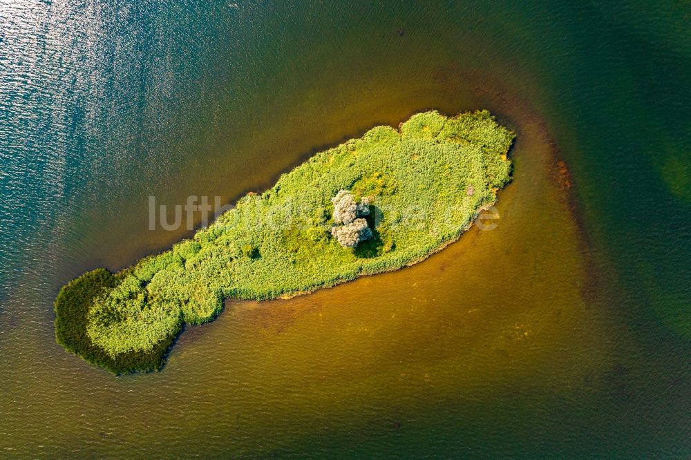 Senkrecht-Luftbild Joachimsthal - Senkrechtluftbild See- Insel im Grimnitzsee in Joachimsthal im Bundesland Brandenburg, Deutschland