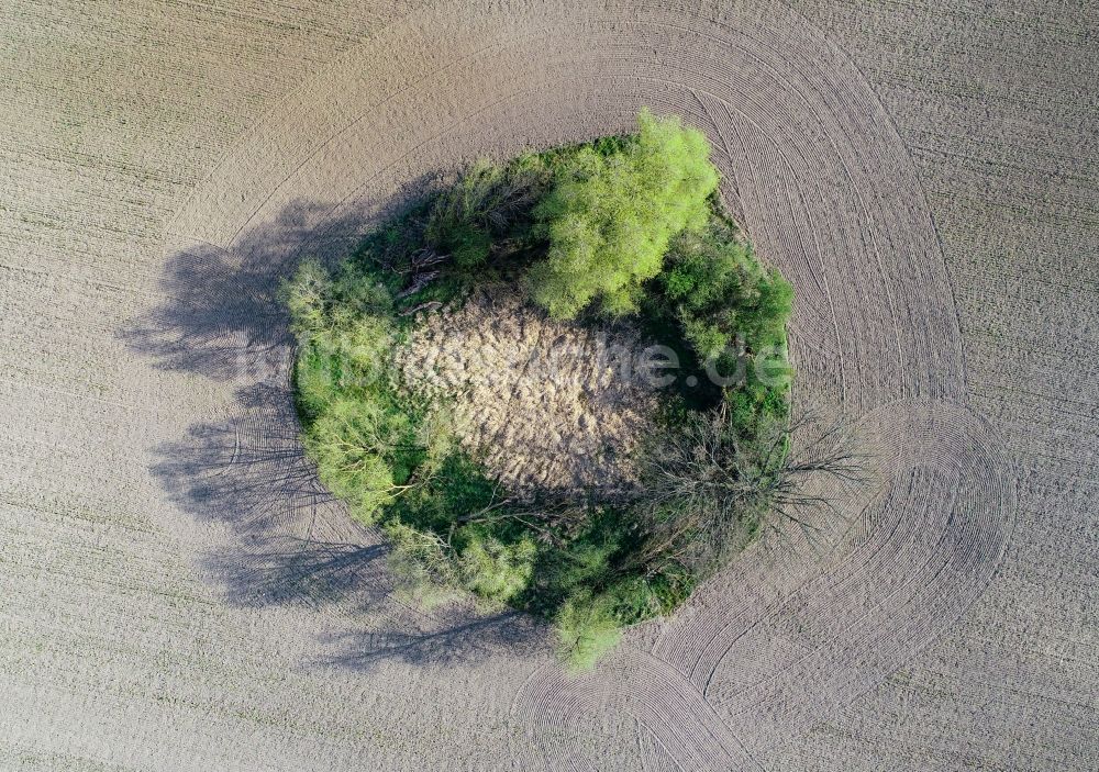 Senkrecht-Luftbild Sieversdorf - Senkrechtluftbild Soll Biotop in der Feldoberfläche in Sieversdorf im Bundesland Brandenburg, Deutschland