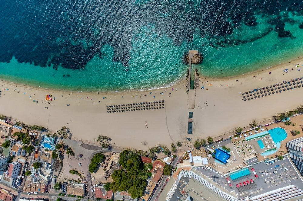 Senkrecht-Luftbild Calvia - Senkrechtluftbild Sonnenschirmreihen am Sand- Strand im Küstenbereich am Platja de Magaluf in Calvia in Balearische Insel Mallorca, Spanien