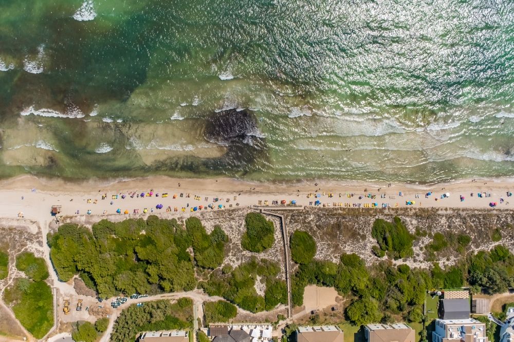 Senkrecht-Luftbild Muro - Senkrechtluftbild Sonnenschirmreihen am Sand- Strand im Küstenbereich an der Carrer Joglars in Muro in Balearische Insel Mallorca, Spanien