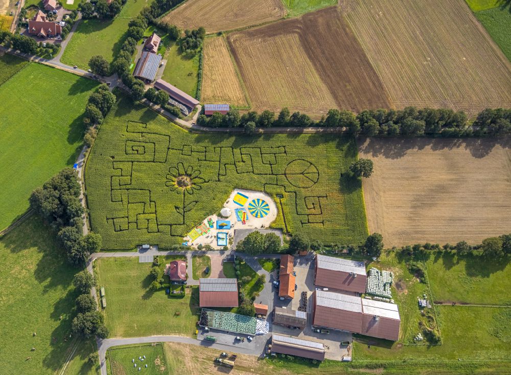 Senkrecht-Luftbild Haltern am See - Senkrechtluftbild Spielplatz Maislabyrinth Terhardt in Haltern am See im Bundesland Nordrhein-Westfalen, Deutschland