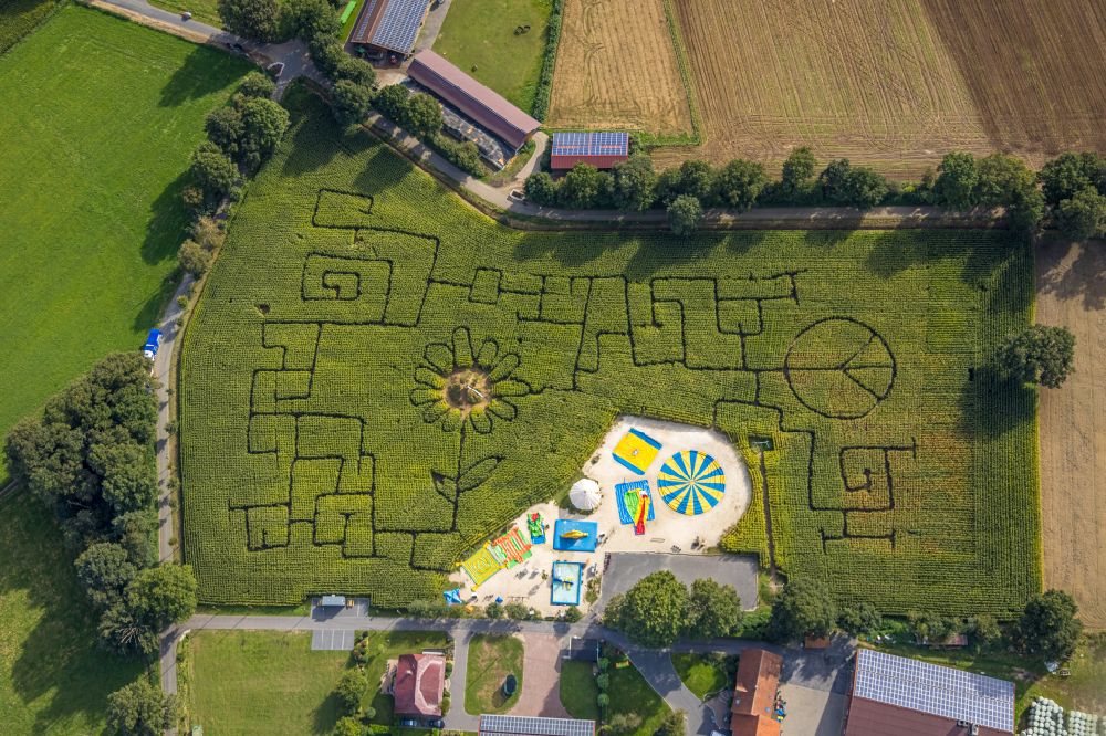 Senkrecht-Luftbild Haltern am See - Senkrechtluftbild Spielplatz Maislabyrinth Terhardt in Haltern am See im Bundesland Nordrhein-Westfalen, Deutschland
