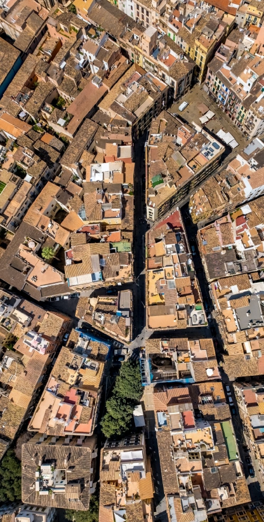 Senkrecht-Luftbild Palma - Senkrechtluftbild Stadtansicht vom Innenstadtbereich rundum den Plaça del Mercadal an der Carrer de la Llotgeta in Palma in Balearische Insel Mallorca, Spanien