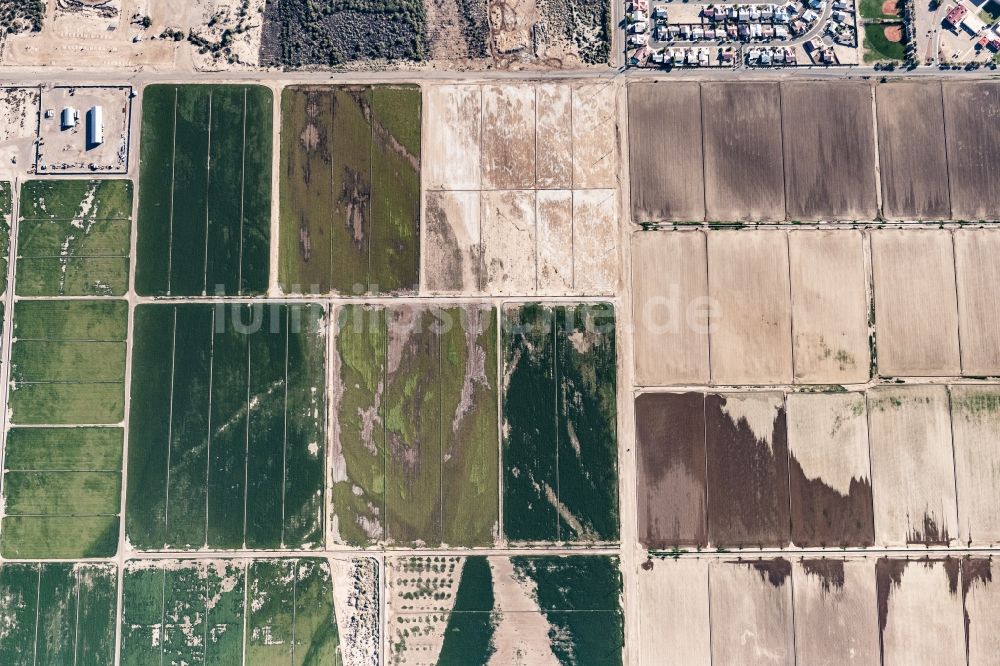 Senkrecht-Luftbild Mohave Valley - Senkrechtluftbild Strukturen auf landwirtschaftlichen Feldern in Mohave Valley in Arizona, USA