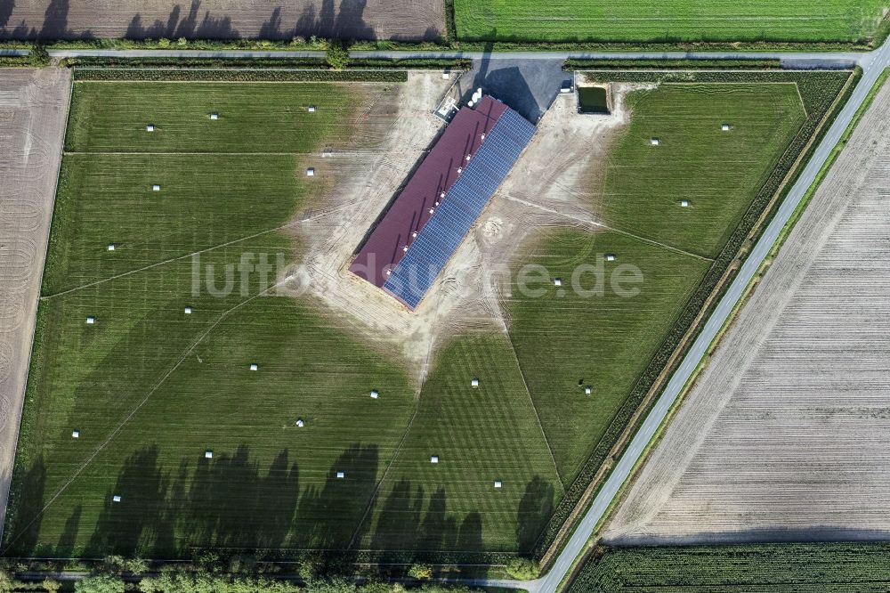 Senkrecht-Luftbild Twistringen - Senkrechtluftbild Tierzucht- Stallanlagen zur Geflügelzucht in Twistringen im Bundesland Niedersachsen, Deutschland
