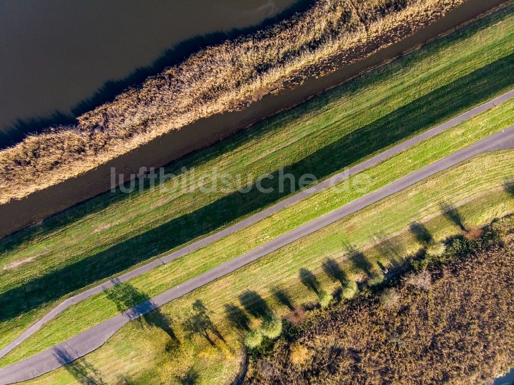 Senkrecht-Luftbild Oderaue - Senkrechtluftbild Uferbereiche am Flußverlauf des Grenz- Flußverlaufes der Oder in Oderaue im Bundesland Brandenburg