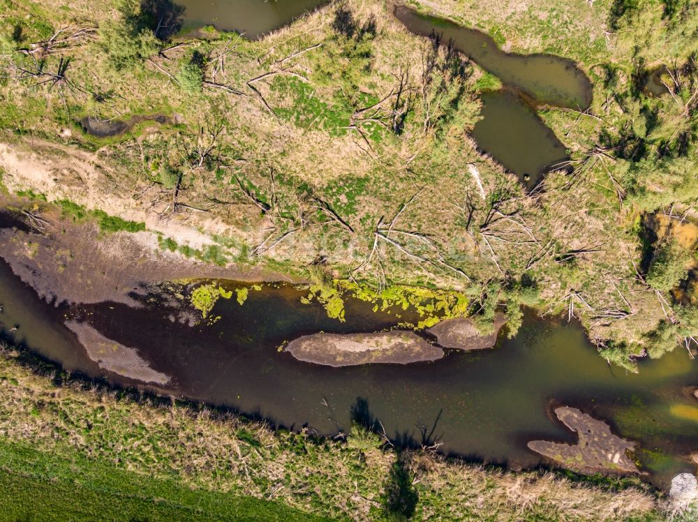 Senkrecht-Luftbild Küstriner Vorland - Senkrechtluftbild Uferbereiche am Oder - Flußverlauf in Küstriner Vorland in Lubuskie Lebus, Polen