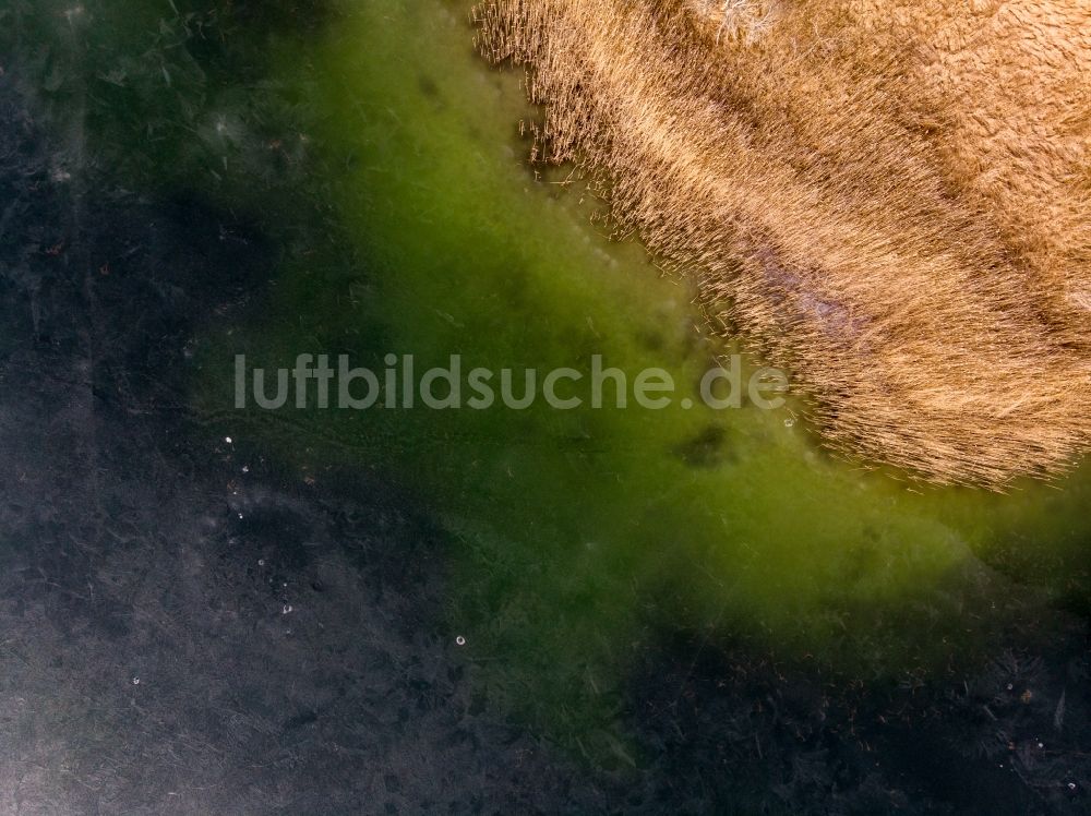 Senkrecht-Luftbild Groß Dölln - Senkrechtluftbild Uferbereiche des Sees Großdöllner See in den Waldgebieten bei Groß Dölln im Bundesland Brandenburg