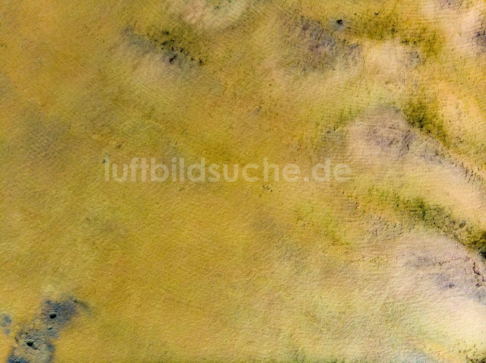 Senkrecht-Luftbild Parsteinsee - Senkrechtluftbild Uferbereiche des Sees Parsteiner See in Parsteinsee im Bundesland Brandenburg, Deutschland