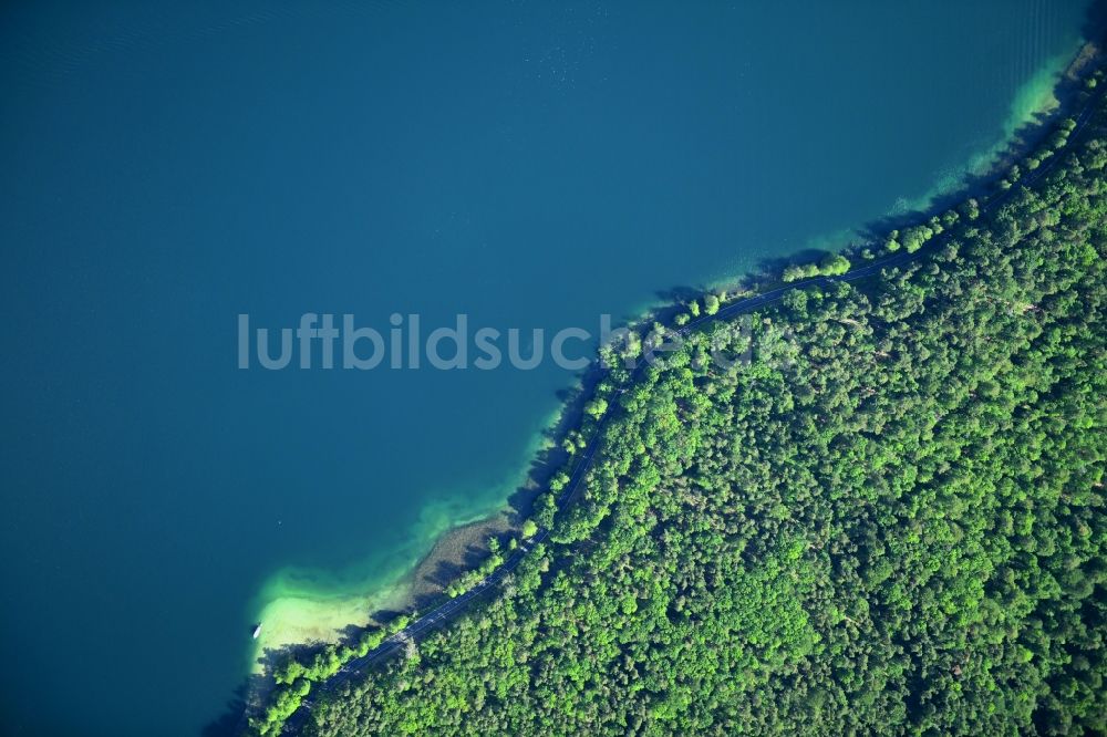 Senkrecht-Luftbild Joachimsthal - Senkrechtluftbild Uferbereiche des Sees Werbellinsee entlang der Landesstraße L220 in einem Waldgebiet in Joachimsthal im Bundesland Brandenburg, Deutschland