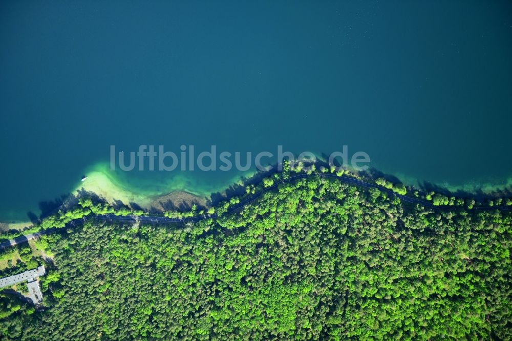 Senkrecht-Luftbild Joachimsthal - Senkrechtluftbild Uferbereiche des Sees Werbellinsee entlang der Landesstraße L220 in einem Waldgebiet in Joachimsthal im Bundesland Brandenburg, Deutschland