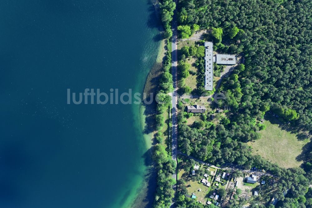 Senkrecht-Luftbild Joachimsthal - Senkrechtluftbild Uferbereiche des Sees Werbellinsee entlang der Ruine Altes Hotel in einem Waldgebiet in Joachimsthal im Bundesland Brandenburg, Deutschland