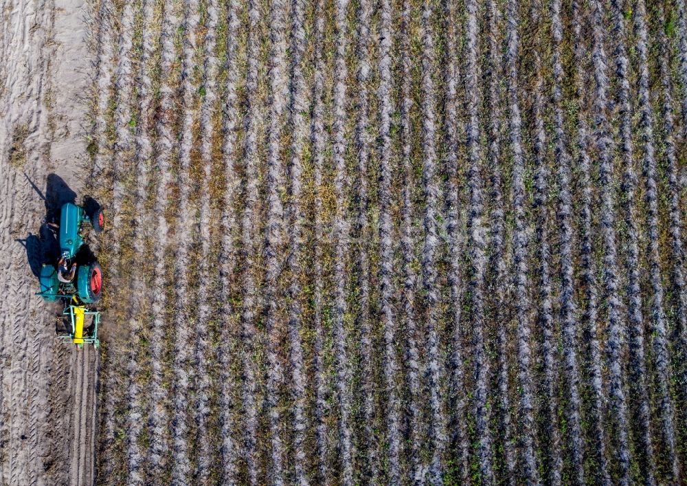 Senkrecht-Luftbild Klein Trebbow - Senkrechtluftbild Umpflugarbeiten und Umschichtung der Erde durch einen Traktor mit Pflug auf landwirtschaftlichen Feldern in Klein Trebbow im Bundesland Mecklenburg-Vorpommern, Deutschland